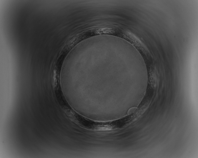 X0000097960169200803241221