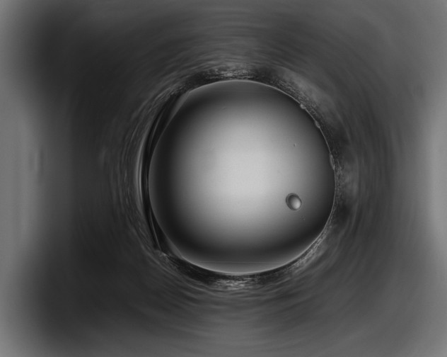X0000097960170200803241221