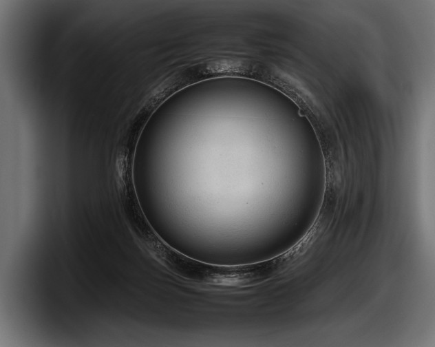 X0000097960171200803241221