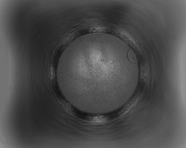 X0000097960173200803241221