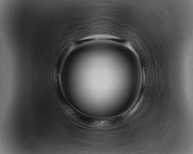 X0000097960174200803241221