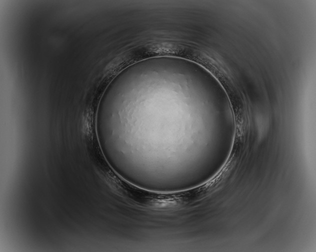 X0000097960175200803241221