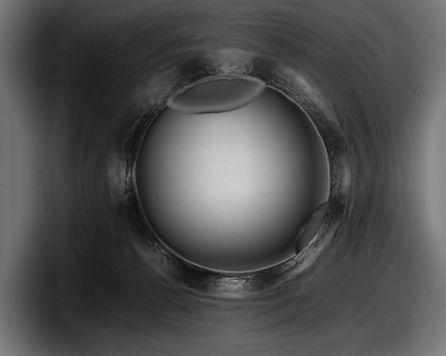 X0000097960176200803241221