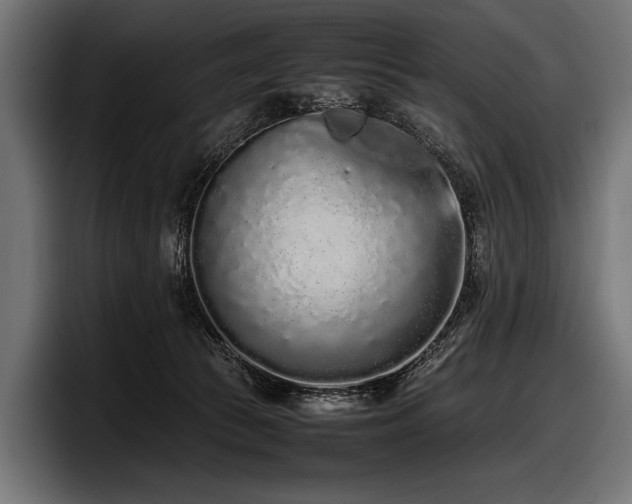 X0000097960177200803241221