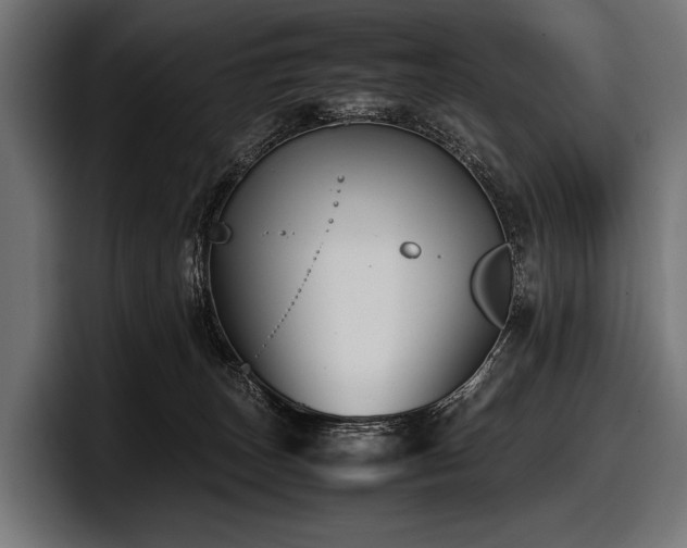 X0000097960179200803241221