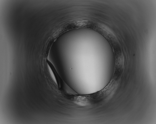 X0000097960180200803241221