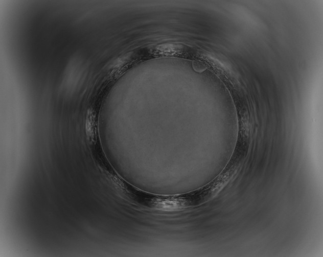 X0000097960181200803241221