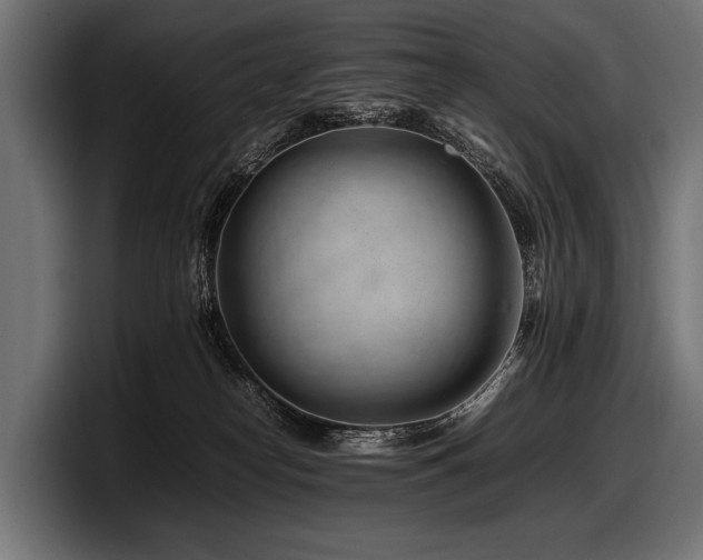 X0000097960182200803241221