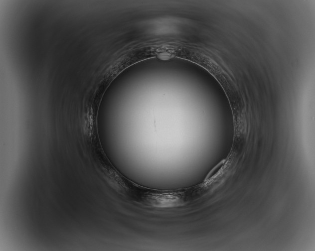 X0000097960183200803241221
