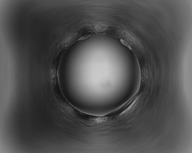 X0000097960184200803241221