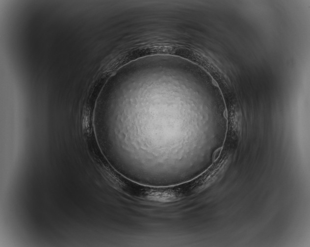X0000097960185200803241221