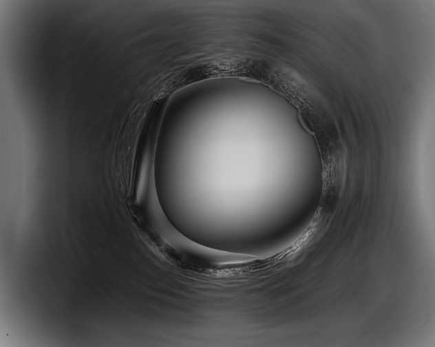 X0000097960186200803241221