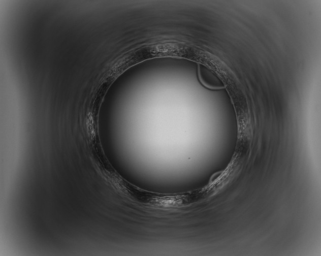 X0000097960187200803241221