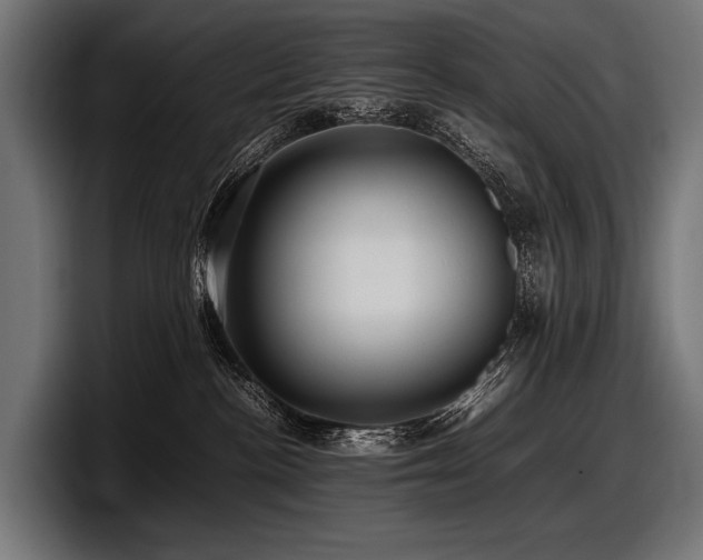 X0000097960188200803241221