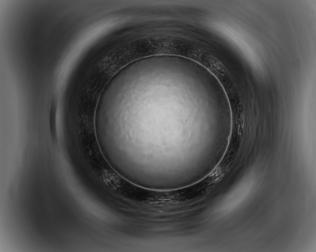 X0000097960189200803241221