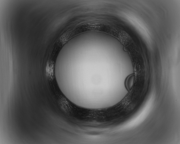 X0000097960190200803241221