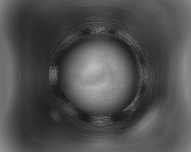 X0000097960191200803241221