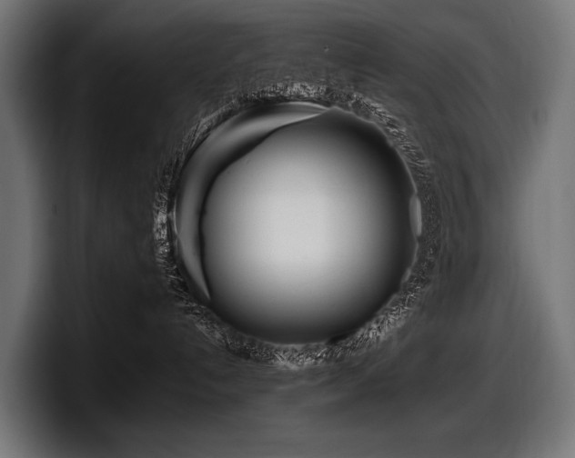 X0000097960192200803241221