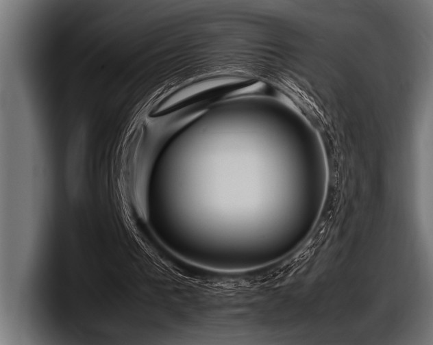 X0000097960193200803241221