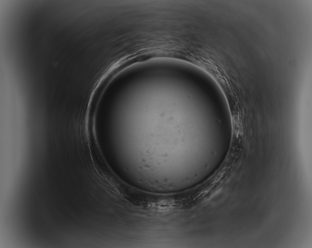 X0000097960196200803241220