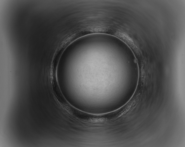 X0000097960202200803241220