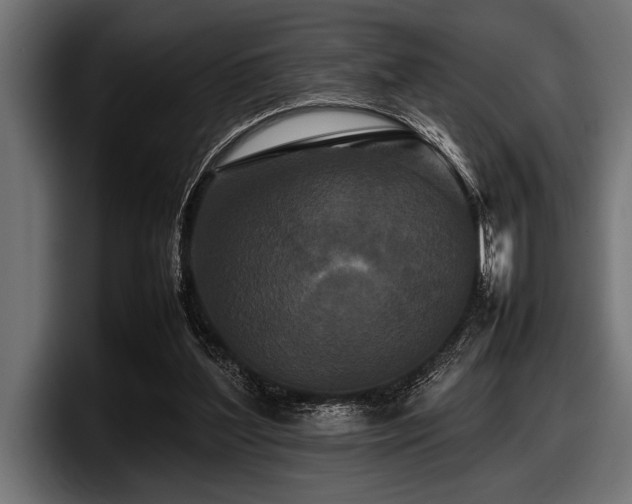 X0000097960204200803241220