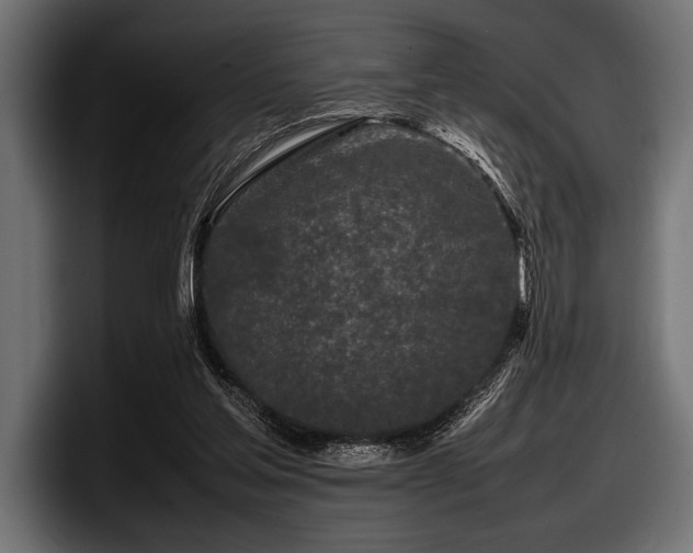 X0000097960205200803241220