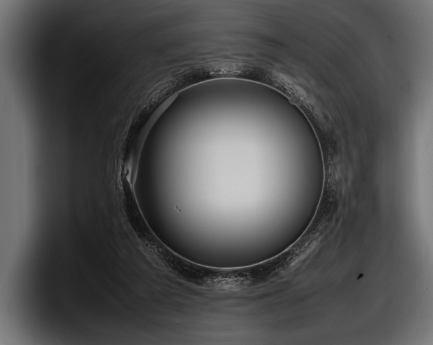 X0000097960209200803241220
