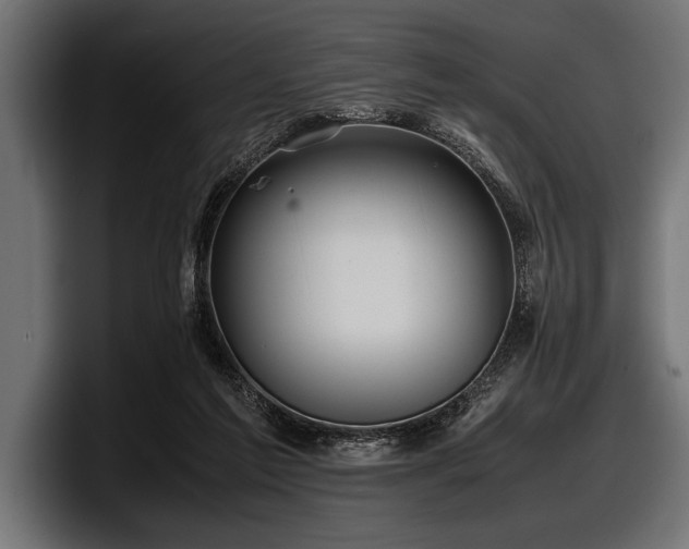 X0000097960213200803241220