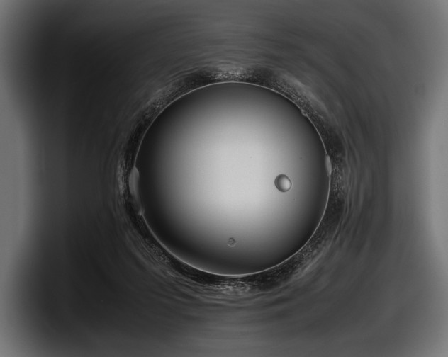 X0000097960215200803241220