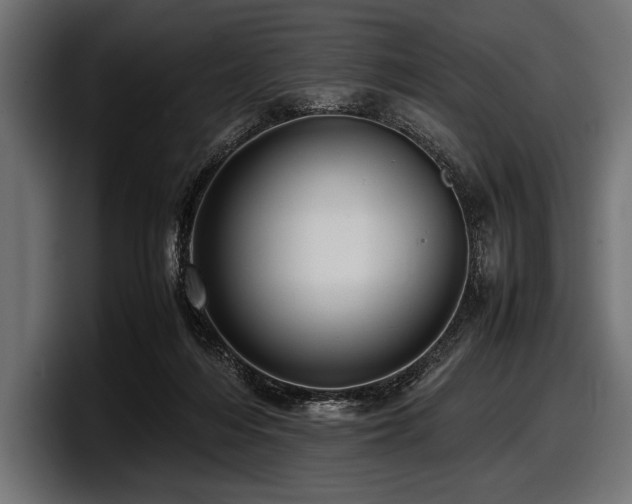 X0000097960216200803241220