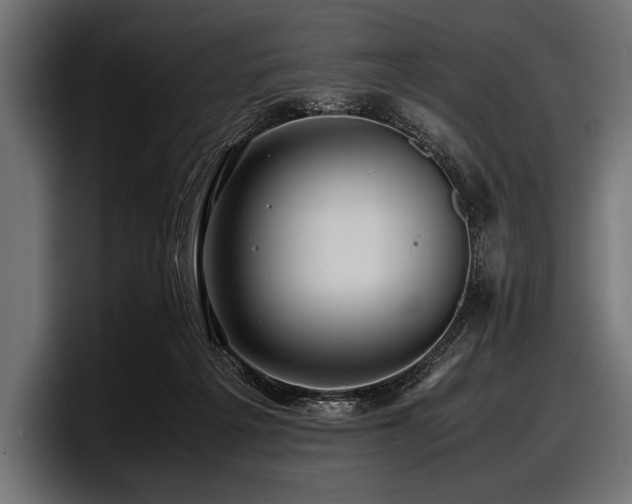 X0000097960217200803241220