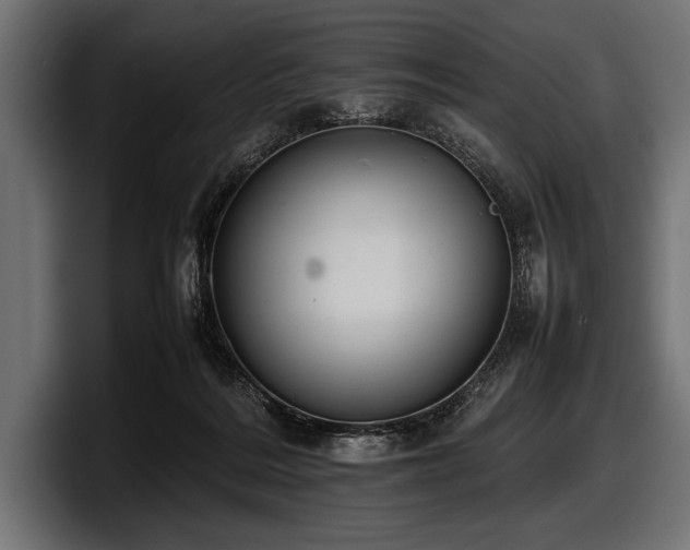 X0000097960220200803241220