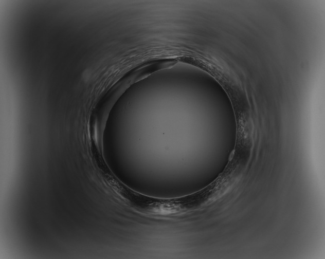 X0000097960223200803241220