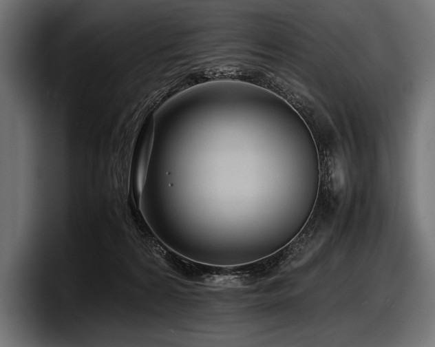 X0000097960224200803241220