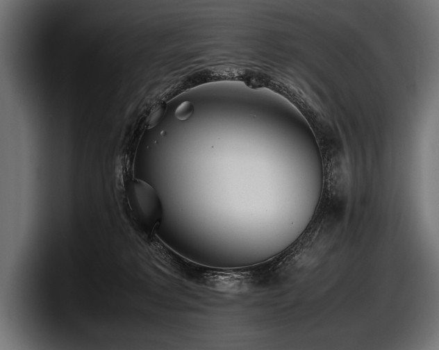 X0000097960229200803241220