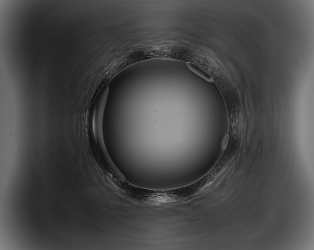 X0000097960231200803241220