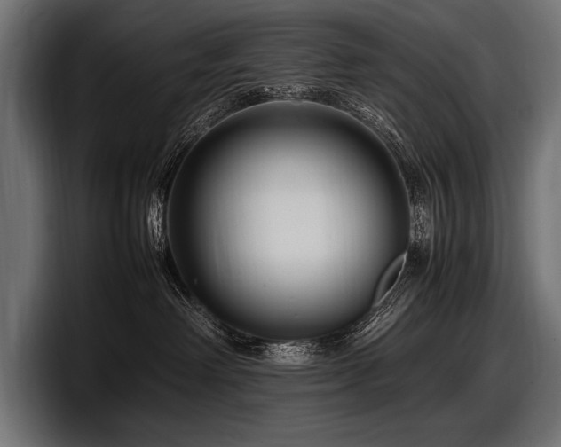 X0000097960238200803241220