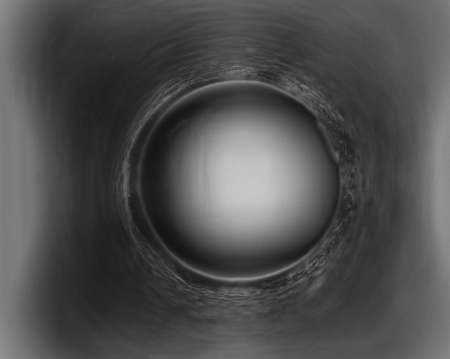 X0000097960242200803241219