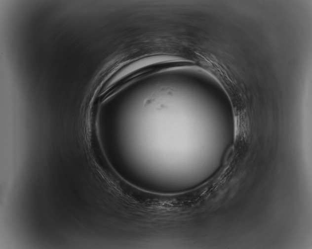 X0000097960243200803241219