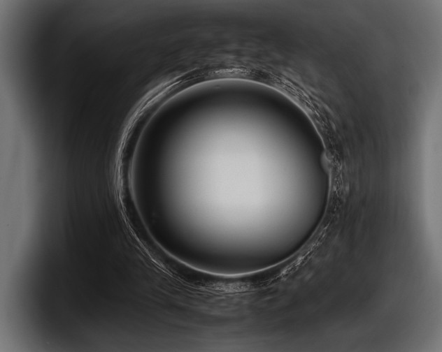 X0000097960245200803241219