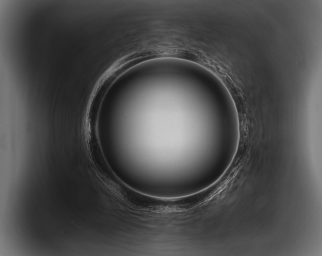 X0000097960246200803241219