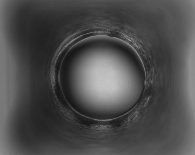 X0000097960247200803241219