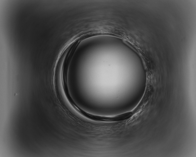 X0000097960248200803241219