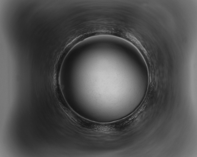 X0000097960249200803241219