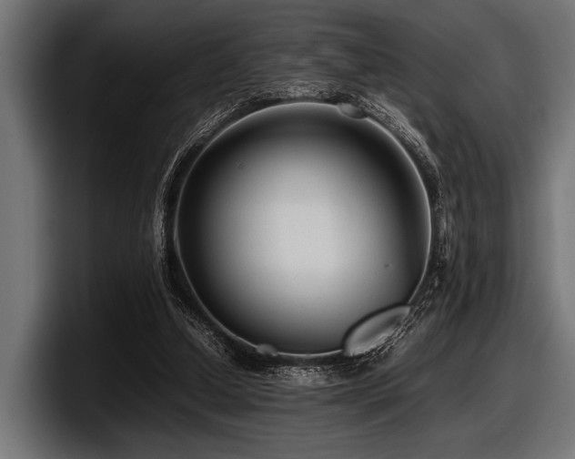 X0000097960250200803241219