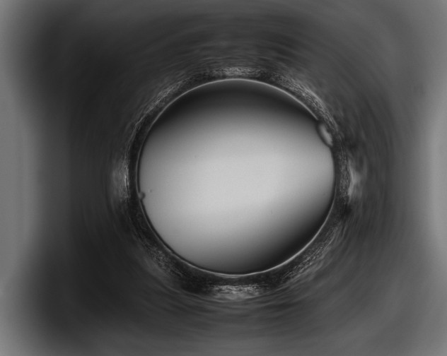 X0000097960251200803241219