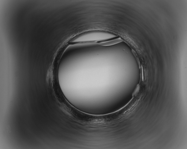X0000097960252200803241219
