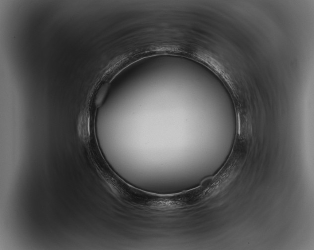 X0000097960253200803241219