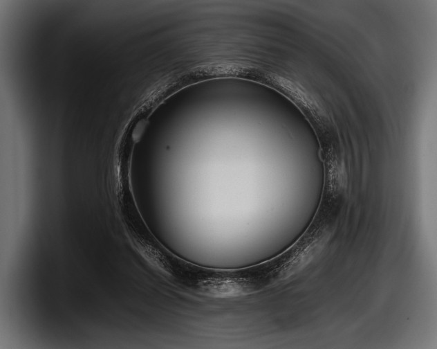 X0000097960254200803241219